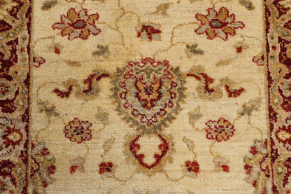 TRANSITIONAL-D40666