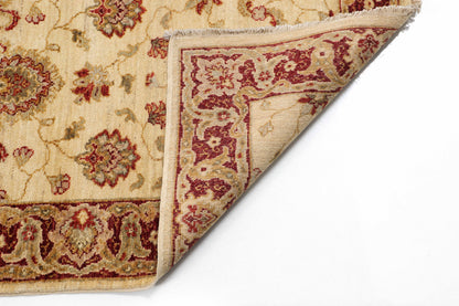 TRANSITIONAL-D40666