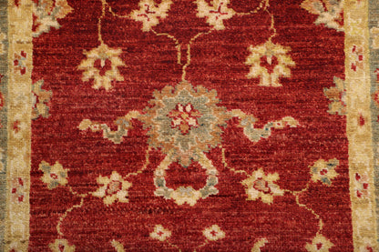 TRANSITIONAL-D40671