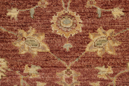 TRANSITIONAL-D46871