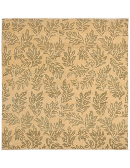 TRANSITIONAL-D38967