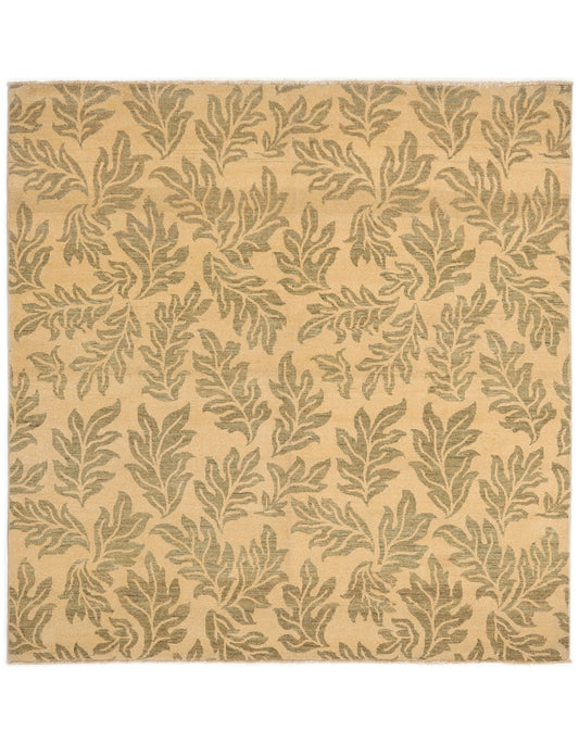 TRANSITIONAL-D38967