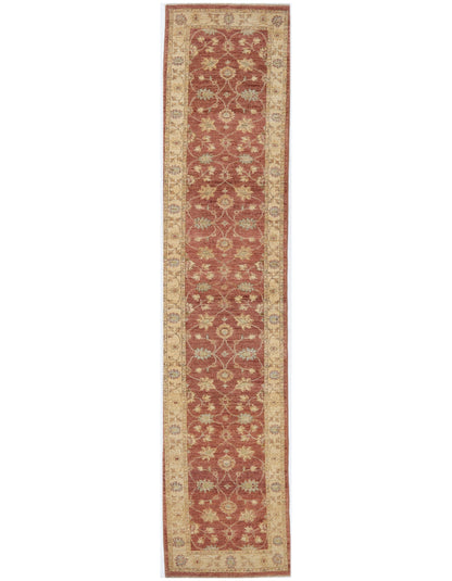 TRANSITIONAL-D46871