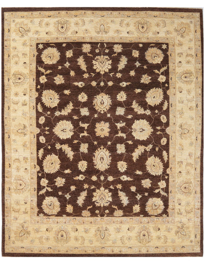 TRANSITIONAL-D47098