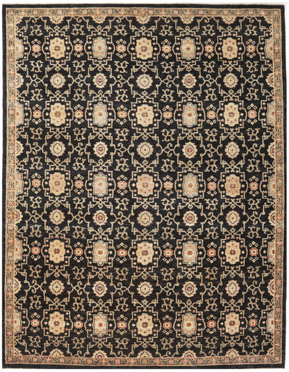 TRANSITIONAL-D47804