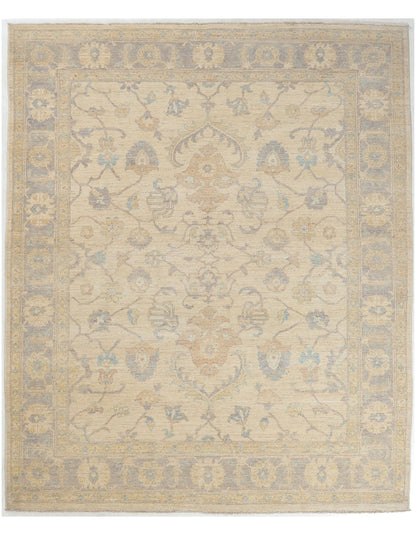 TRANSITIONAL-D53677
