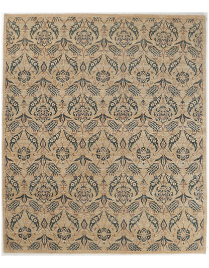 TRANSITIONAL-D56085